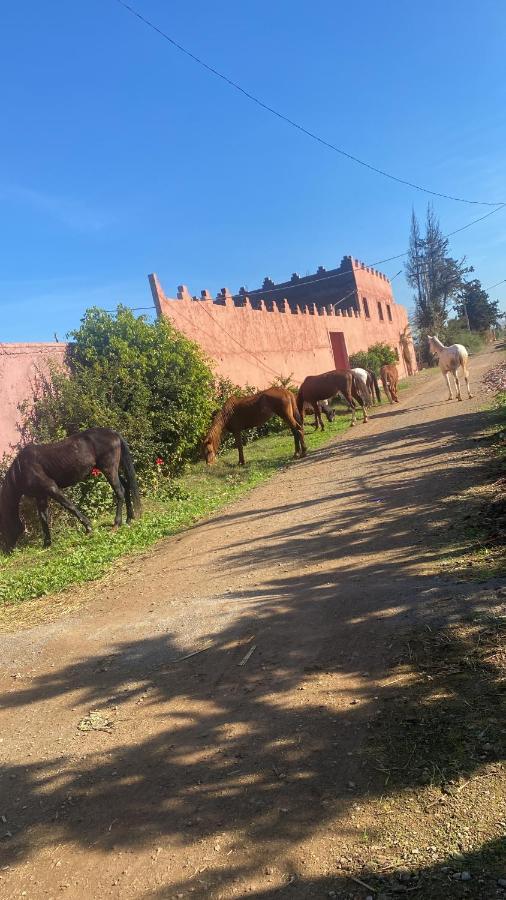 Gite Touristique Yassmine Madagh Exterior photo